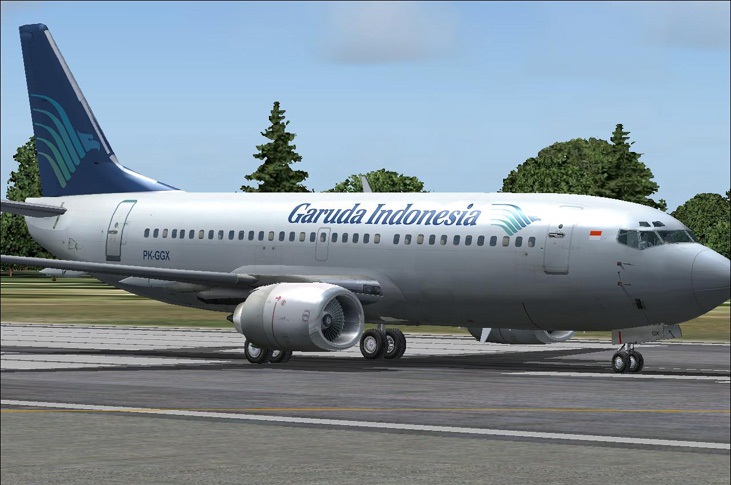 Download this Garuda Airlines picture