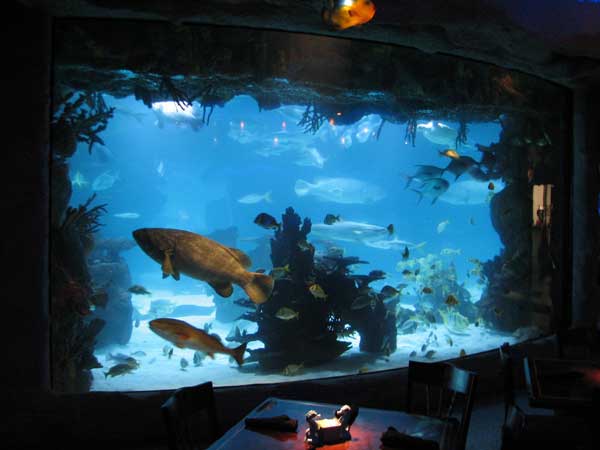 Downtown Aquarium restaurant Houston