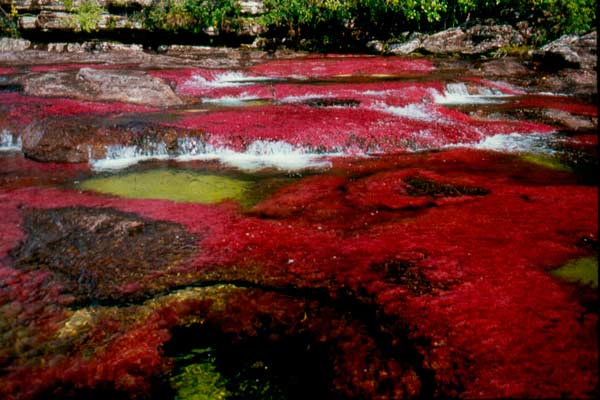 Columbia's River of Five Colors