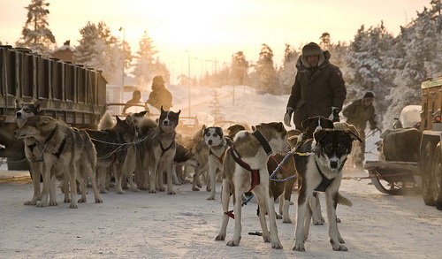 1238996240_0775.500x293