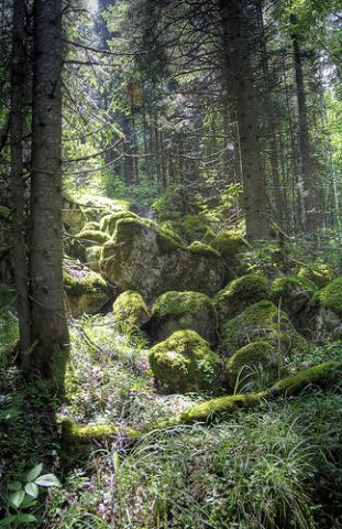 1238996241_0652.311x480