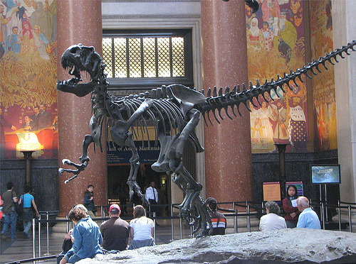 American Museum of Natural History  2