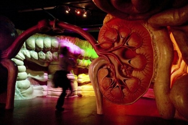 NETHERLANDS BODY BUILDING