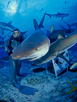 Nassau, New Providence, Bahamas