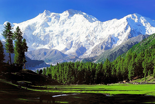 nangaparbat nangaparbat