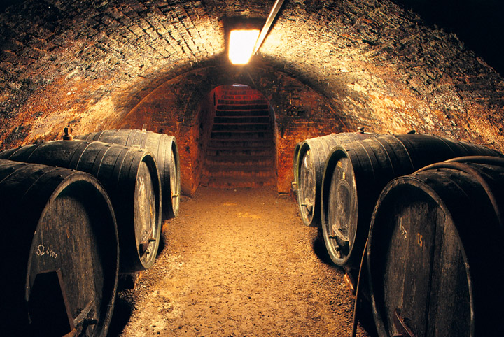 wine wine