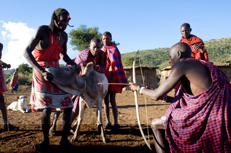 6-massai-cow-blood-demonstration