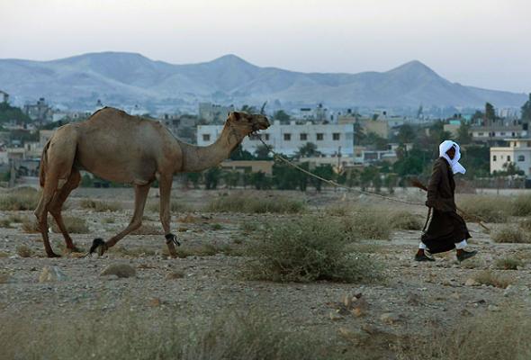 Jericho, Palestinian Territory