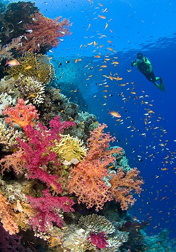 scuba diving in Bali