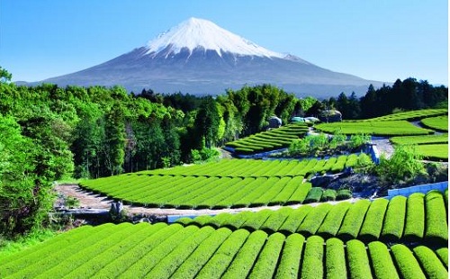 Mount_Fuji_Japan