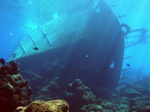 The Curse of Palmyra Island