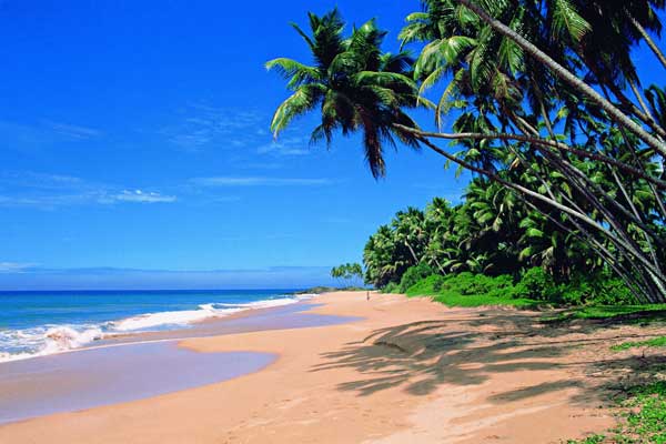Goa Travel