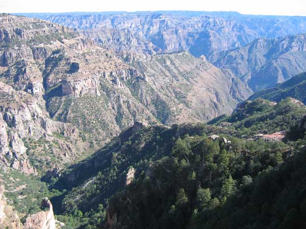 Copper Canyon Mexico