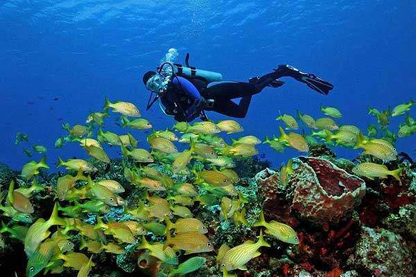 Cozumel Mexico diving