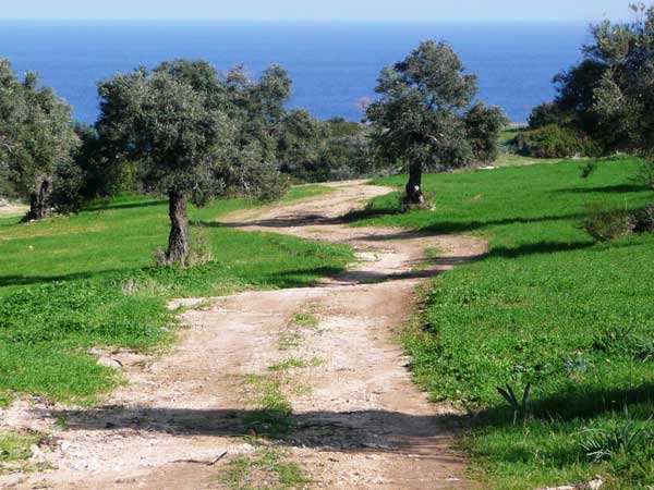 Hiking trails in Cyprus