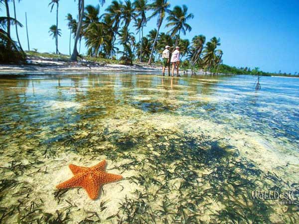 Yucatan Peninsula Mexico