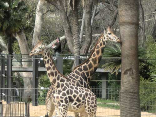 Photo by lindbloomer.blogspot.com