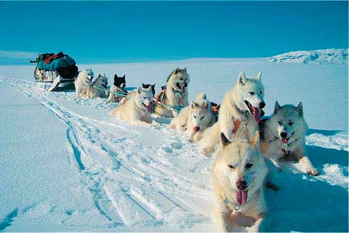 Photo by theodora.com