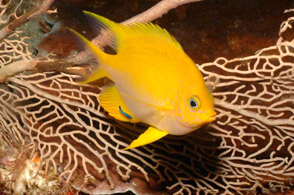 Photo by wetwebmedia.com