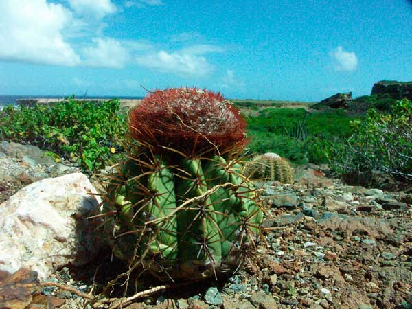 Photo by kristesadventures.blogspot.com