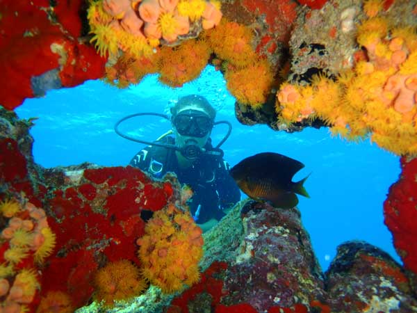 Photo by happydiversaruba.com