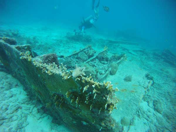 Photo by tellyouaboutit.com