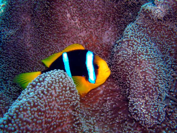 Photo by tlcpropmgmt.com