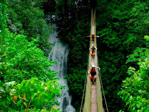 Zip Line Canopy Tours