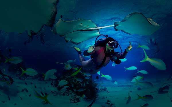 Photo by http://www.vipdivetenerife.com
