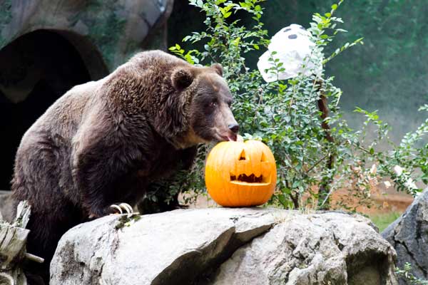 Photo by http://3.bp.blogspot.com