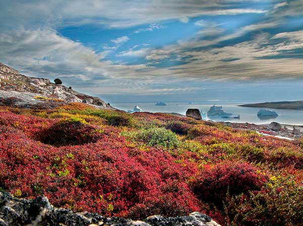 Photo by http://upload.wikimedia.org