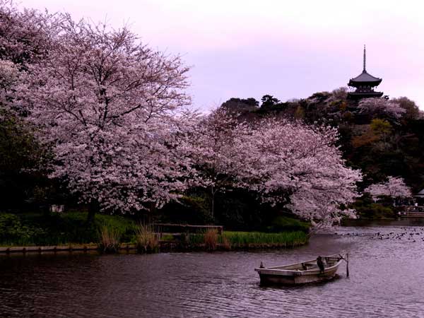 Photo by http://ascwfs.files.wordpress.com