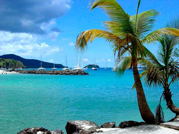 Photo by http://www.globeimages.net/