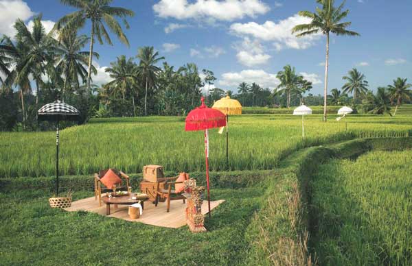 Photo by http://www.adelto.co.uk/