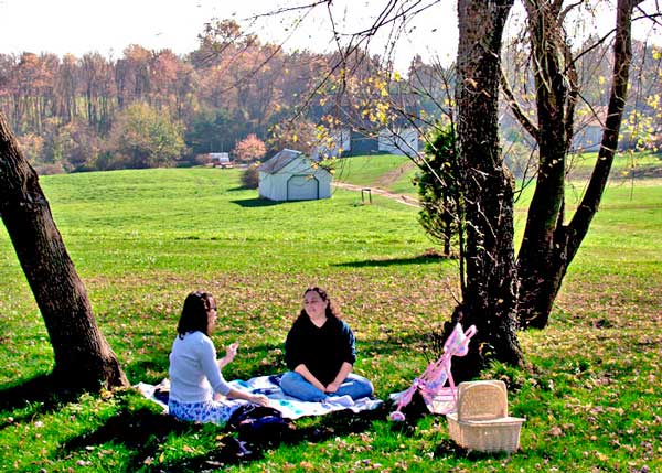 Photo by http://northdelawhere.happeningmag.com/