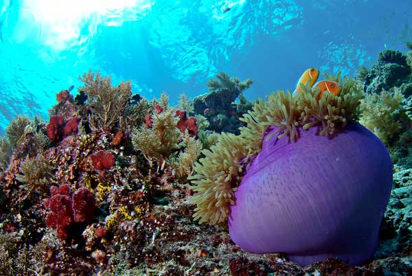 Photo by http://tourism-unlimited.com/