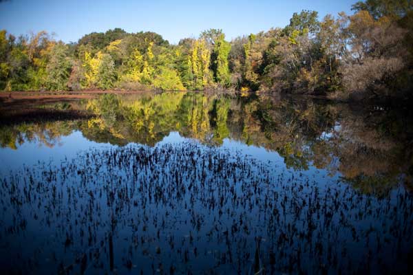 Photo by http://www2.cambridgema.gov/