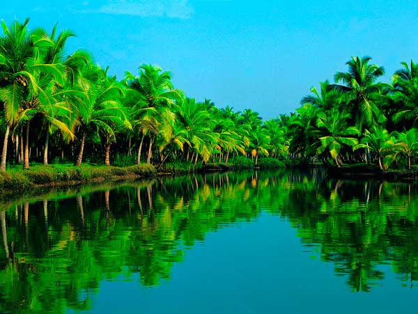 Phot by http://2.bp.blogspot.com/