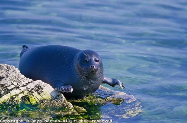 Photo by http://cdn.c.photoshelter.com/