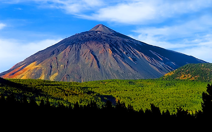 image by onestep4ward.com