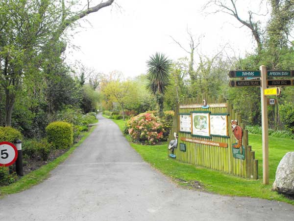 Photo by http://farm9.staticflickr.com/