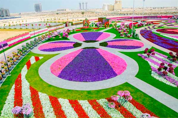 Image by http://msnbcmedia3.msn.com/