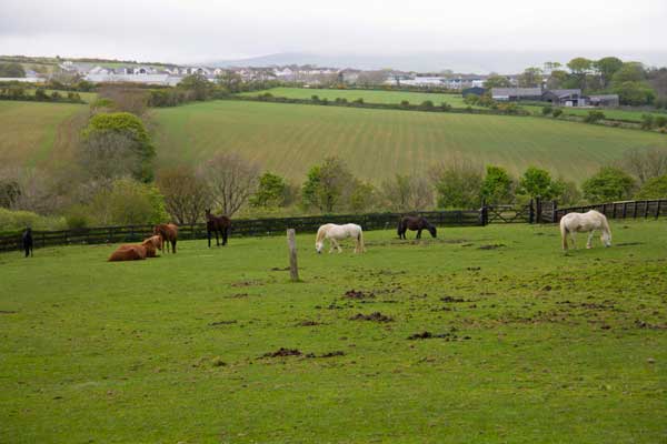 Photo by http://2fatblokeswithacamera.files.wordpress.com/