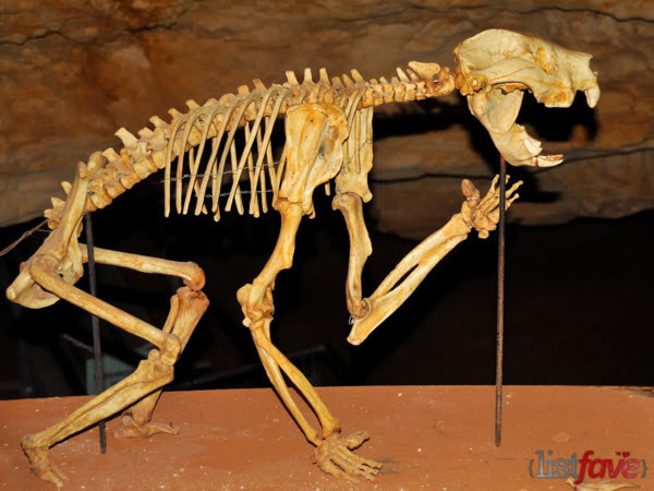 Photo by http://listfave.com/