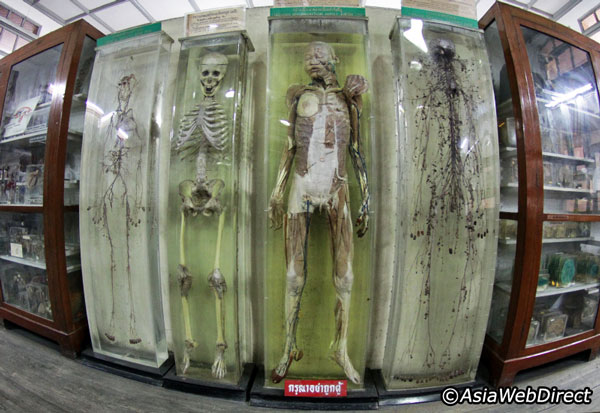 Photo by http://static.asiawebdirect.com/