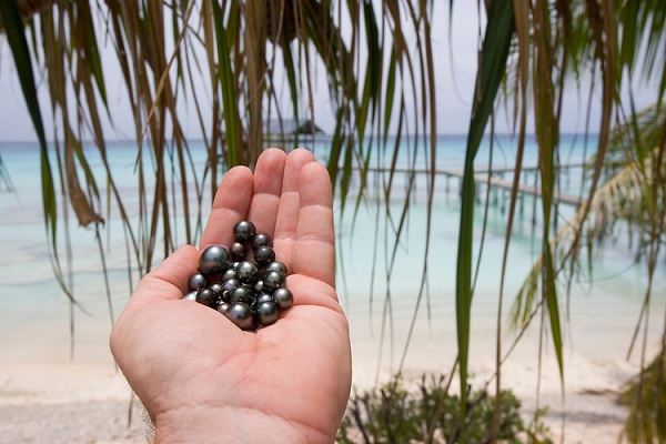 Photo by http://cdn.c.photoshelter.com/