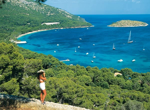 Photo by http://www.trexglobal.com/