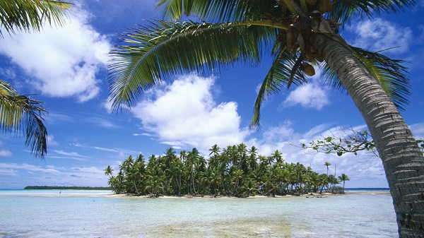 Photo by http://wallpapers5.com/