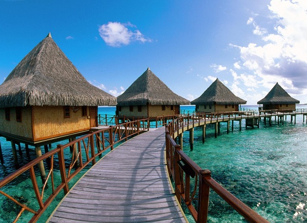 Photo by http://wakpaper.com/