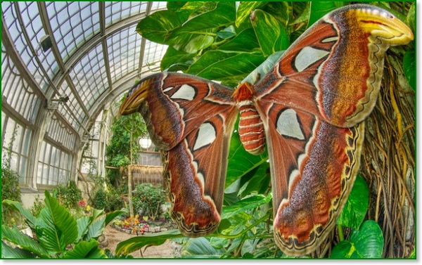 Photo by http://www.naturfotoworkshop.at/